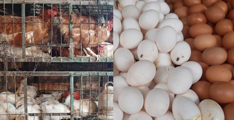 https://fbnews247.com/wp-content/uploads/2024/09/Egg-Price.jpg