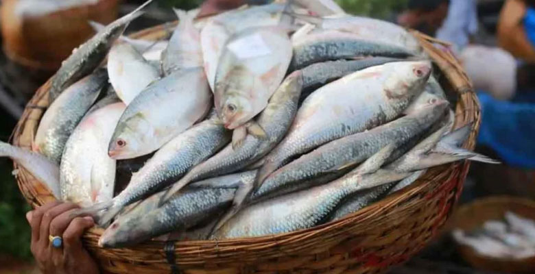 https://fbnews247.com/wp-content/uploads/2025/01/Ilish.jpg