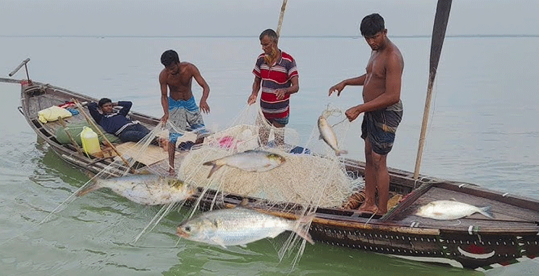 https://fbnews247.com/wp-content/uploads/2025/05/Ilish.png