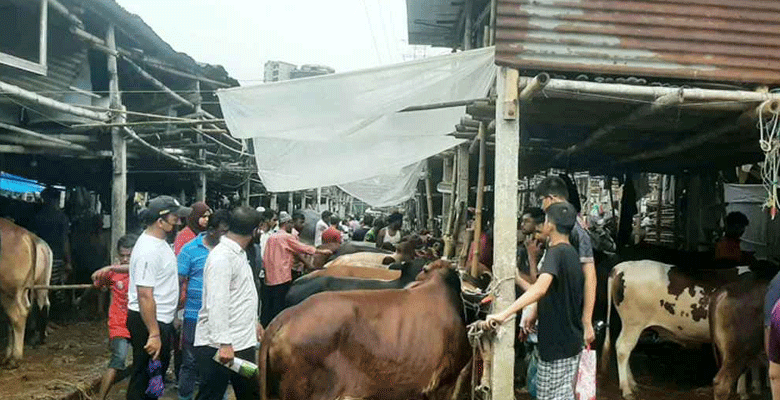 https://fbnews247.com/wp-content/uploads/2025/06/Cow-Hat.png