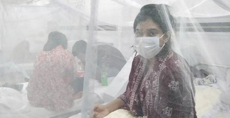 https://fbnews247.com/wp-content/uploads/2025/09/Dengu-2.jpg