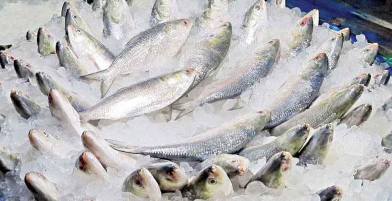 https://fbnews247.com/wp-content/uploads/2025/09/Ilish.jpg