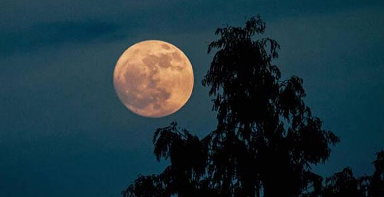 https://fbnews247.com/wp-content/uploads/2026/01/Supermoon.jpg