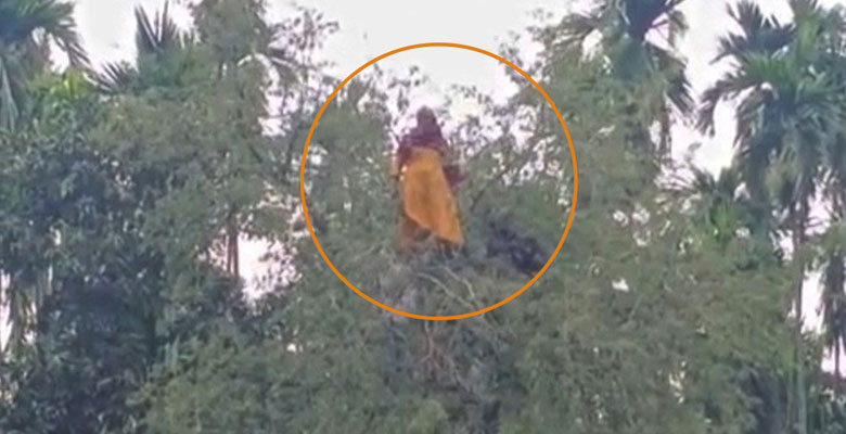 https://fbnews247.com/wp-content/uploads/2026/05/Woman-On-Tree.jpg